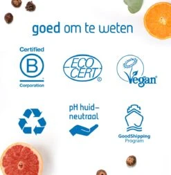 Seepje Zeepvariatie - Hand- En Lichaamszeep - Waszeep - Afwaszeep - Natuurlijke Ingredienten - 0% Plastic -Afwas Benodigdheden Winkel 1172x1200 1