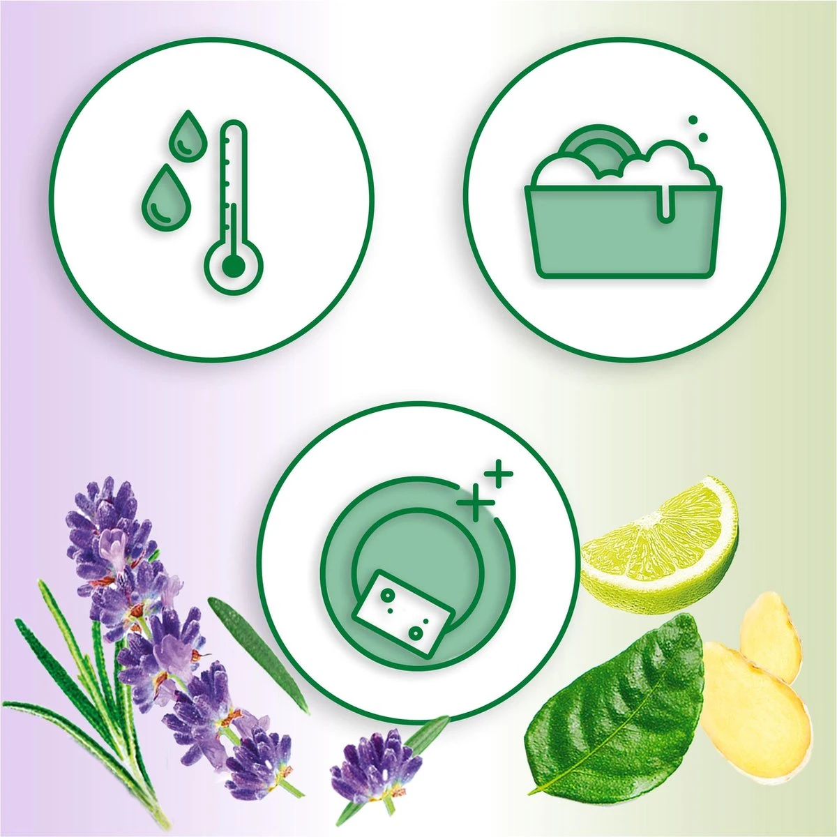 Dreft Naturals Lavender & Rosemary Afwasmiddel - Voordeelverpakking 10x450ml 3 Dreft Naturals Lavender & Rosemary Afwasmiddel - Voordeelverpakking 10x450ml - Afbeelding 3